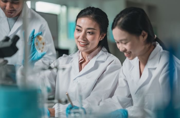 Bagaimana Formula Gagal Dibaca Sejak Tahap Pengembangan?