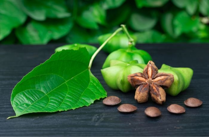 Bahan Alam dalam Kosmetik: Apa yang Dicari Peneliti?