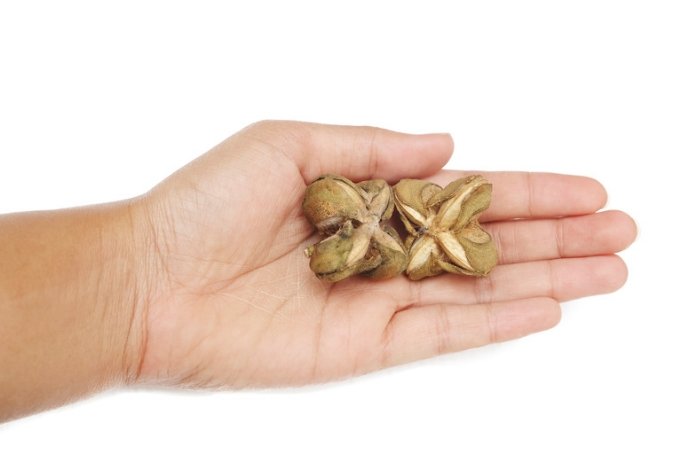 Dari Limbah Industri Pangan ke Bahan Aktif Kosmetik, Sejauh Mana Riset Upcycling Berkembang?