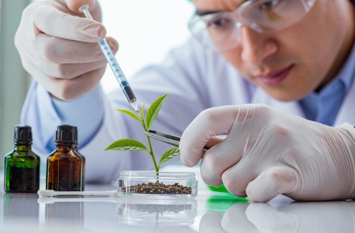 EGCG Menjanjikan Secara Biologis, Tapi Seberapa Stabil di Dalam Formula Kosmetik?
